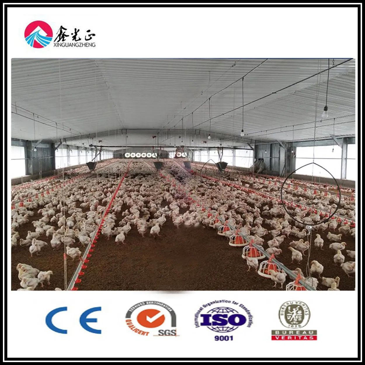 Prefabricated Steel Structure Poultry Chicken House Construction for Sale