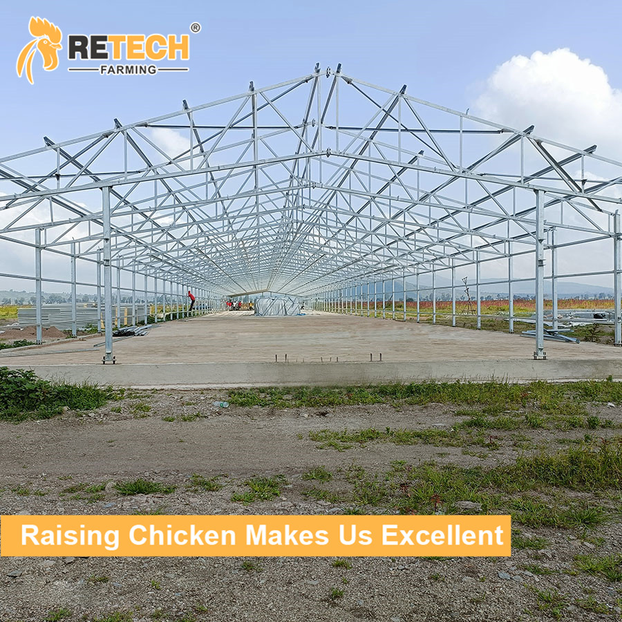 Structural Steel Chicken Cage Coop House and Poultry House in Chicken Poultry Farm