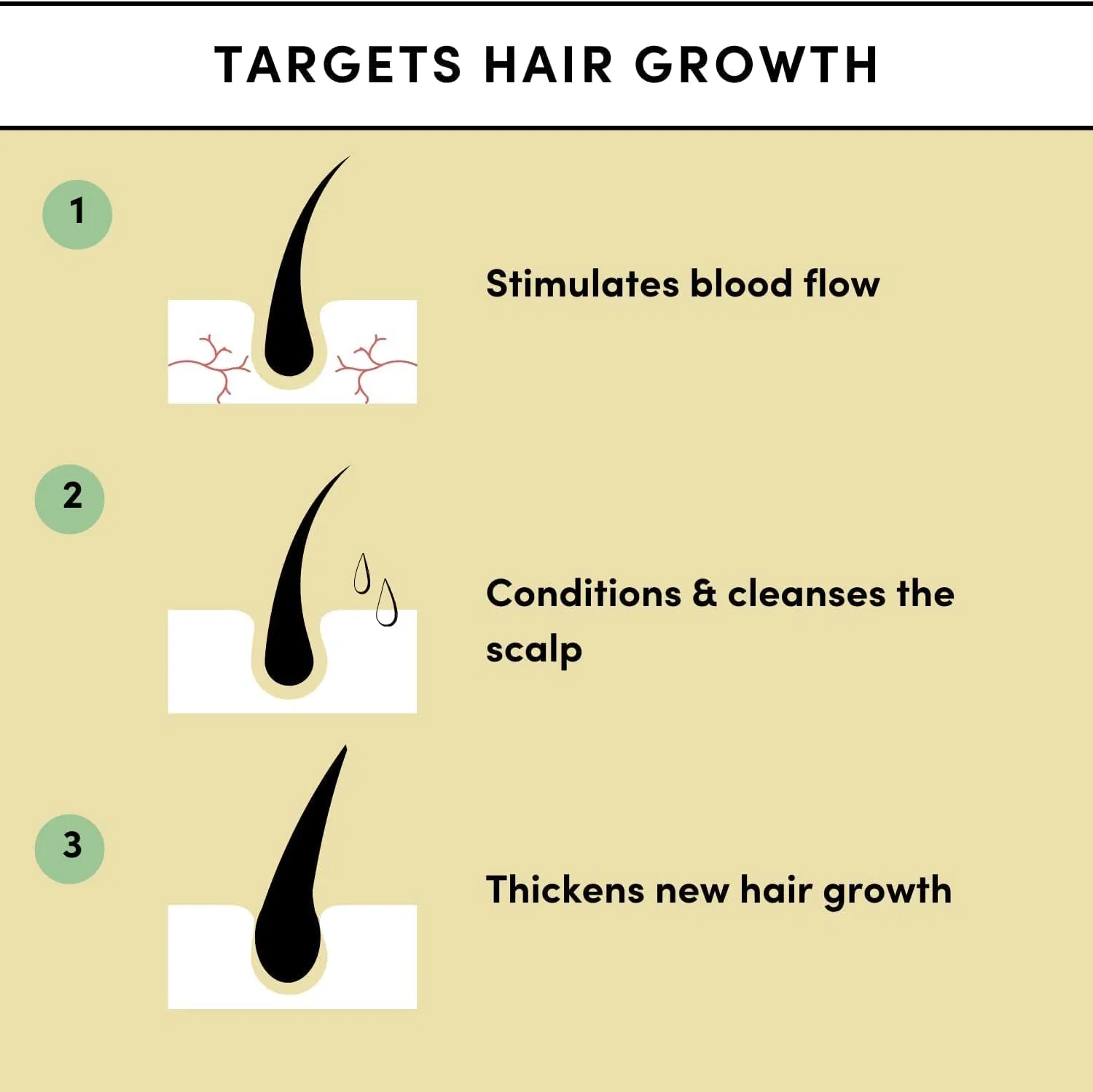 12 Herbs Blend Argan Rosemary Oils Mega Growth Elixir Natural Organic Hair Treatment Rosemary Oil for Hair Growth