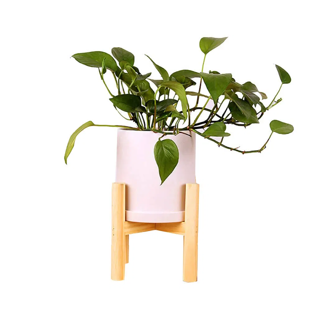 Eco-Friendly Plant Stand Desktop Bamboo Flower Pot Holder