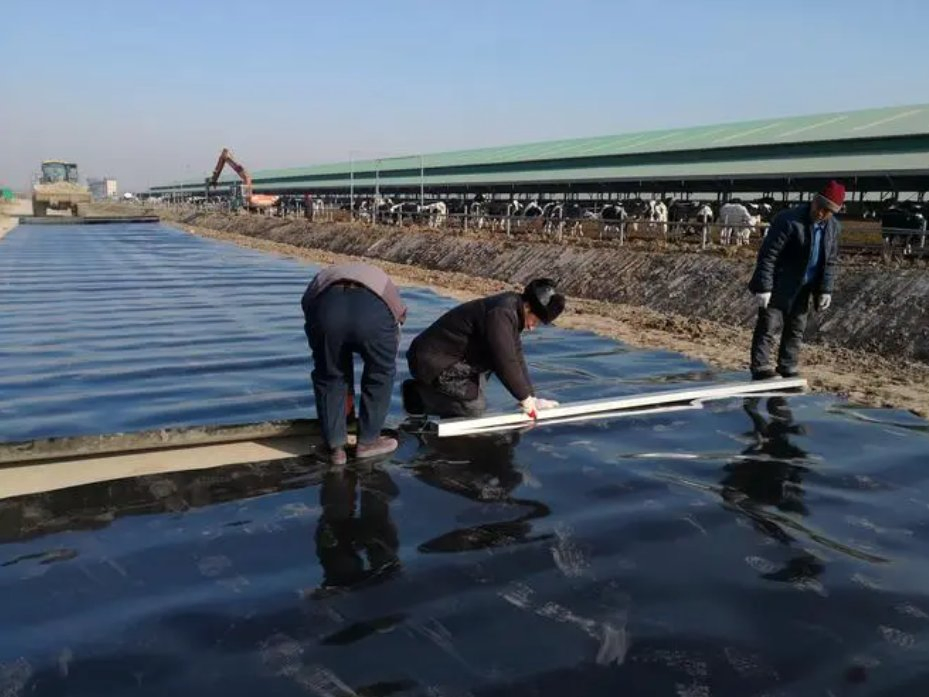 LLDPE HDPE Geomembrane Black Green Pond Liner for Landscaping Gri GM 13 Wholesale Price