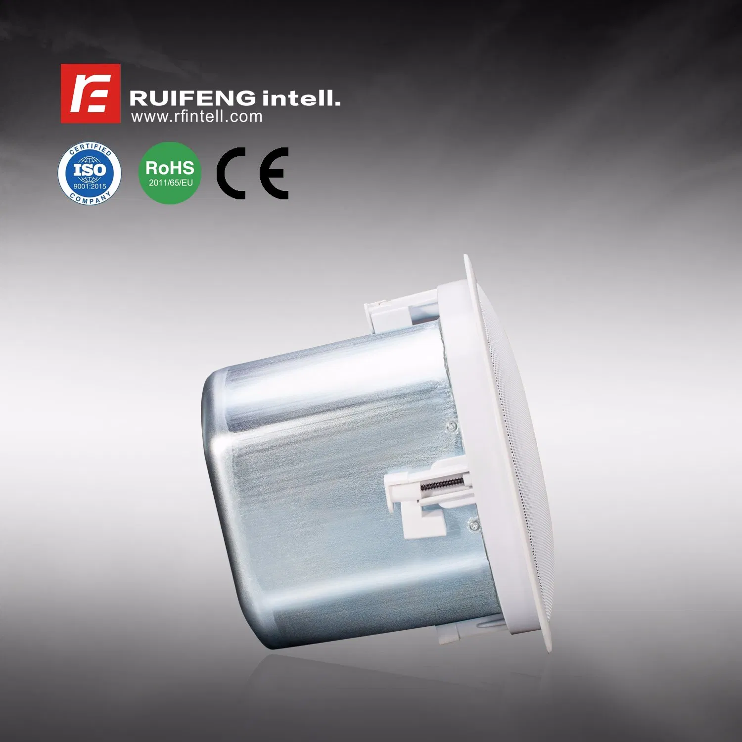 Coaxial Wall Mount Conference Hall Small Cinema Ceiling Speaker