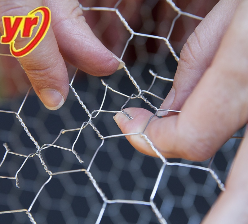 Cold Galvanized Chicken Mesh for Wall Plaster Mesh Anti Rust Easy to Install
