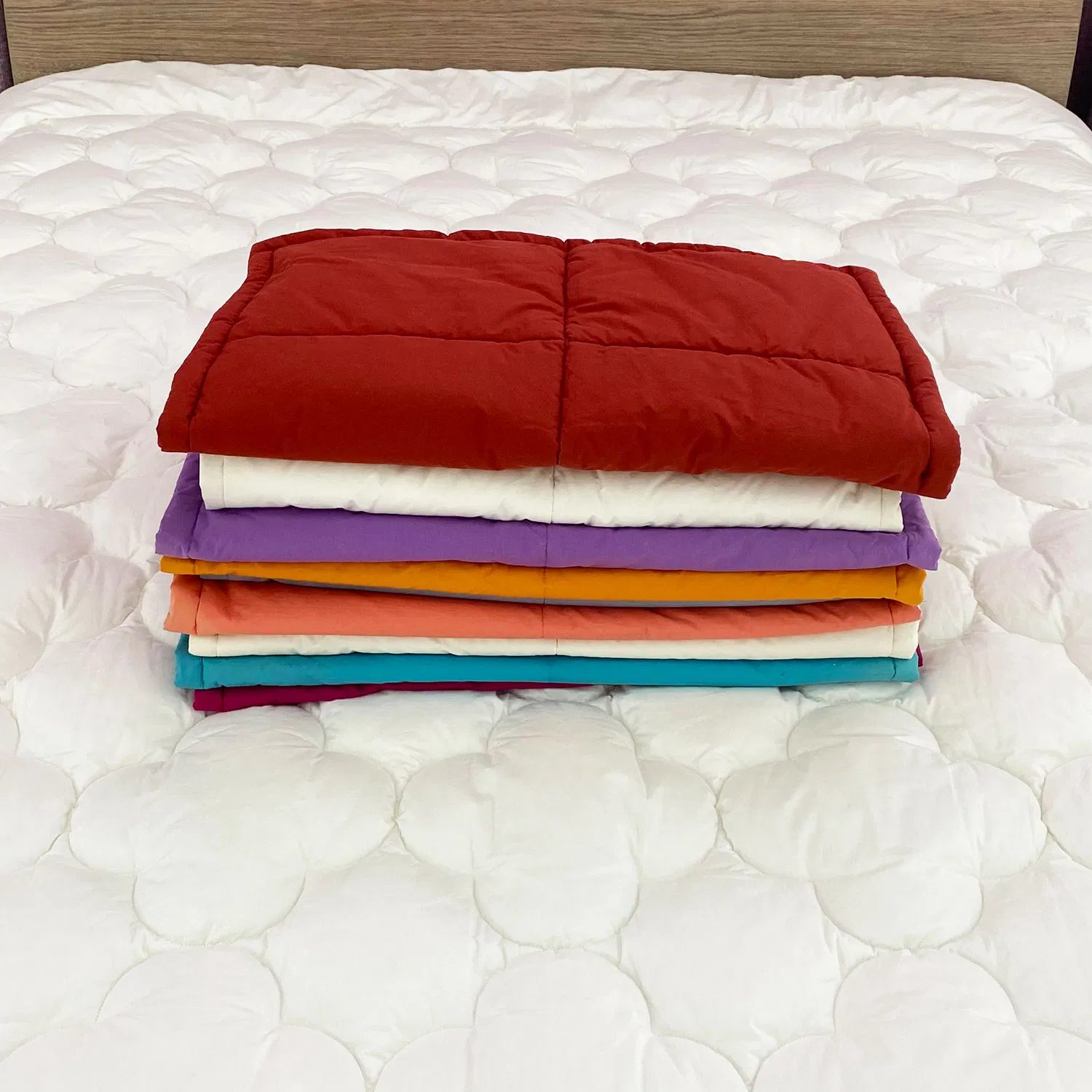 Good Price Plain 100% Cotton Free Collocation Fashion Elegant Colorful Comfortable Pillow Case