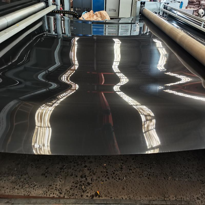 Reliable Waterproof Geomembrane for Fish Shrimp Pond and Biogas Applications Swimming Pool Agricultural Agriculture Aquaculture Water Storage Pool PVC Liner