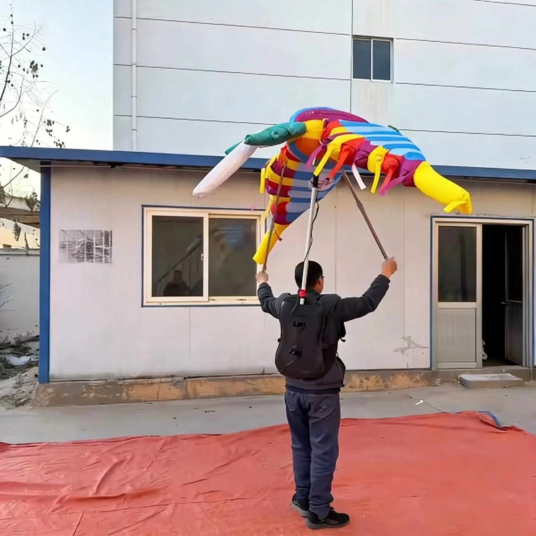 Inflatable Parrot Mascot Costume Cartoon Character for Adults for Cosplay Carnival Parties Performance Props