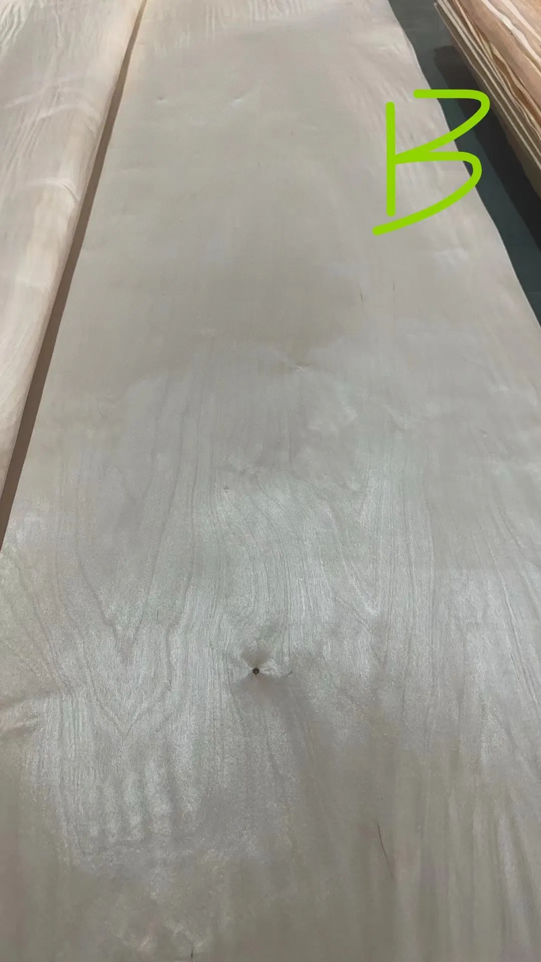 Face Red Oak Beach Veneer Poplar Wood Veneer in Linyi China