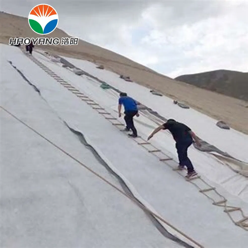 Geonet for Base Reinforcement, Soft Soil Stabilization, 6m Width