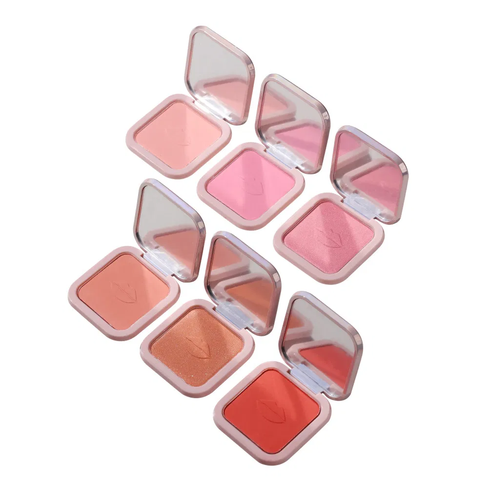 Custom Makeup Palette 6 Colors Square Blush Palette Bronzer Highlighter Palette Blush Private Label