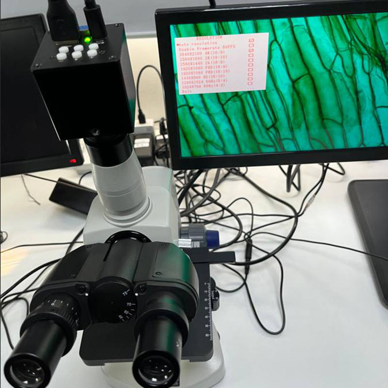 13.3 Inch High Brightness LCD Display with 300CD/M2 TFT LCD