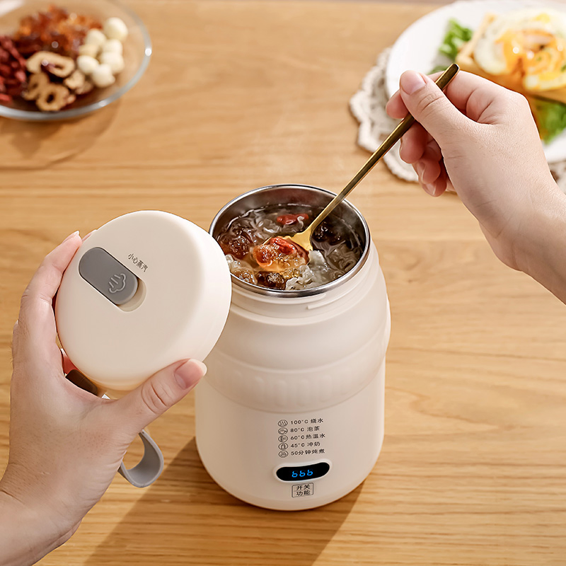 Smart Portable 5-in-1 Electric Kettle, 500ml, Type-C & 220V Dual Charging