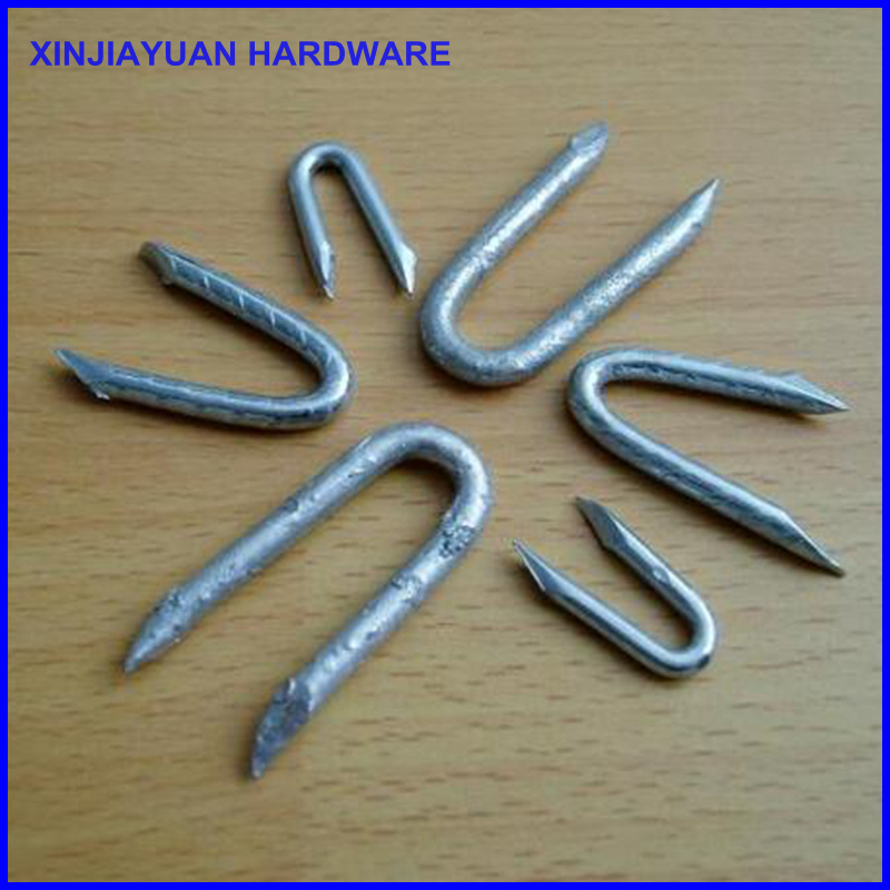 Hot DIP Galvanized Fence Staples / U Turf Nails