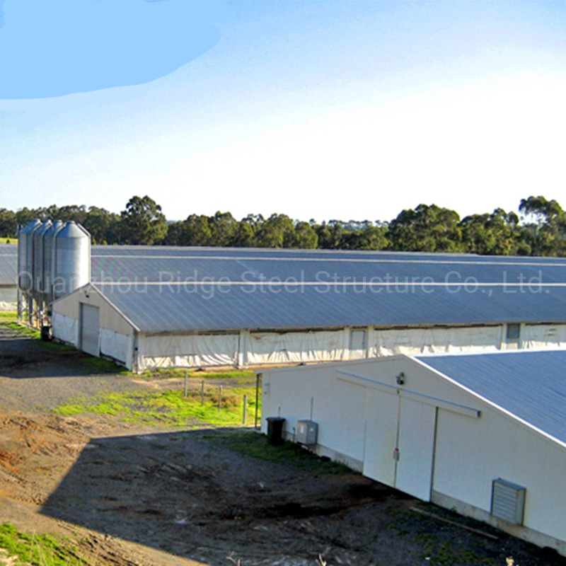 Metal C Purlin Welded Prefabricated Steel Structure Dairy Cow Shed Poultry Farm for Livestock Farming