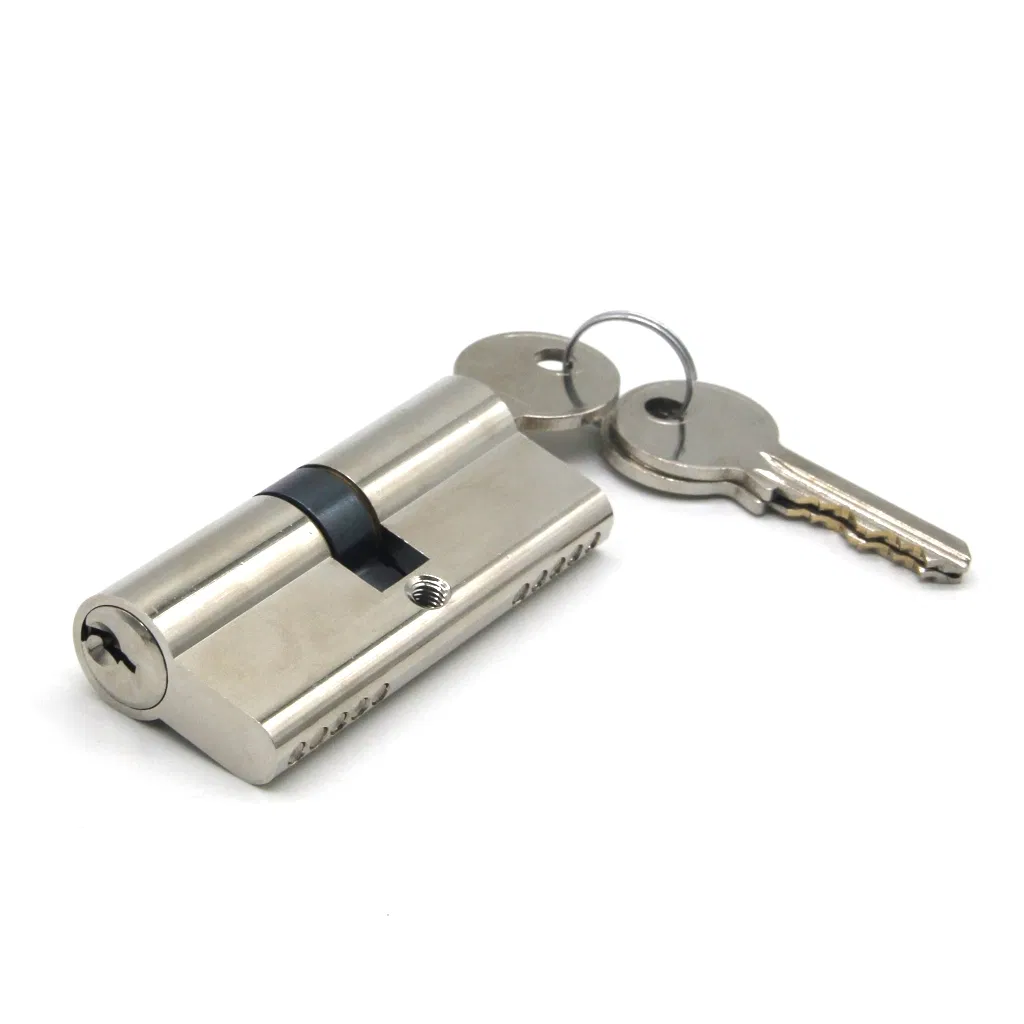 High Quality European Model Door Lock Cylinder Mortise Door Lock Brass Cylinder Master Key Cylinder Lock