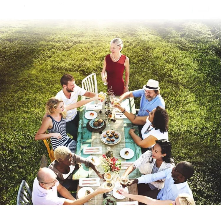 Christmas Home Party Dinnerware Set, Biodegradable Disposable Bagasse (40-people)