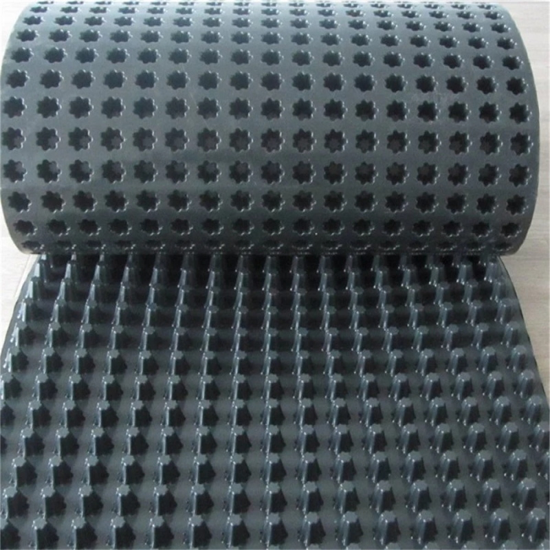 HDPE LDPE Plastic Dimpled Waterproofing Drainage Board for Roof Garden