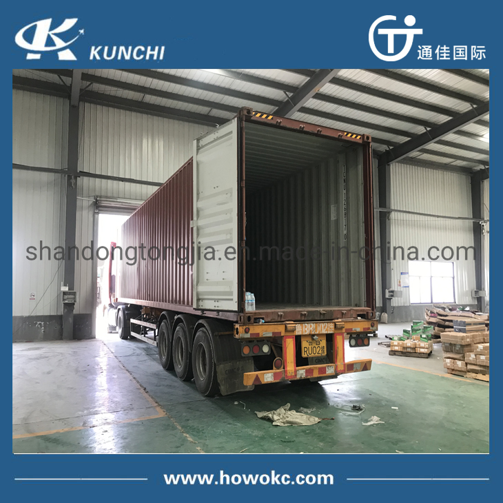 Кронштейн задней опоры двигателя Sinotruk HOWO Wg9725593016/3026