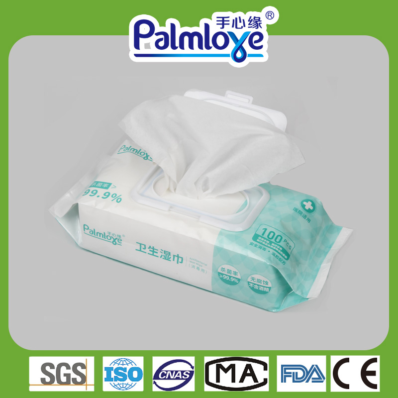 Hygiene Wet Wipes Factory