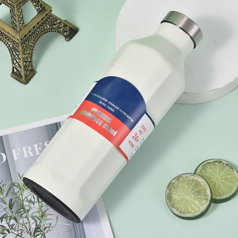 20oz Insulated Stainless Steel Water Bottle Plastic Free Copper Coating