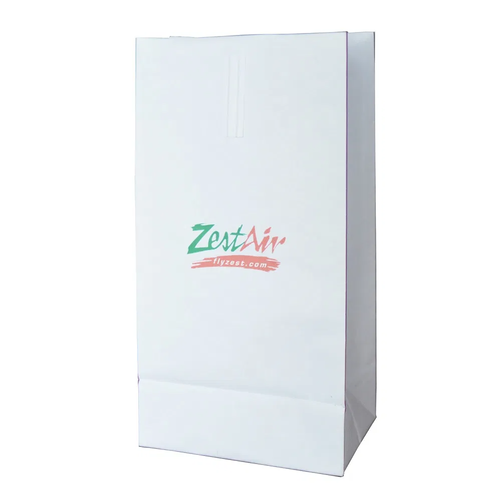Custom Paper Vomit Disposable Printed Biodegradable Print Kraft Air Sickness Bag