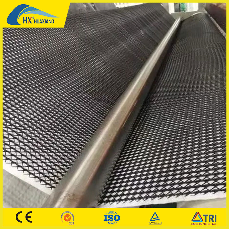 Huaxiang Good Price Road Base Geonet 3D Composite Drainage Geonet Compound Net