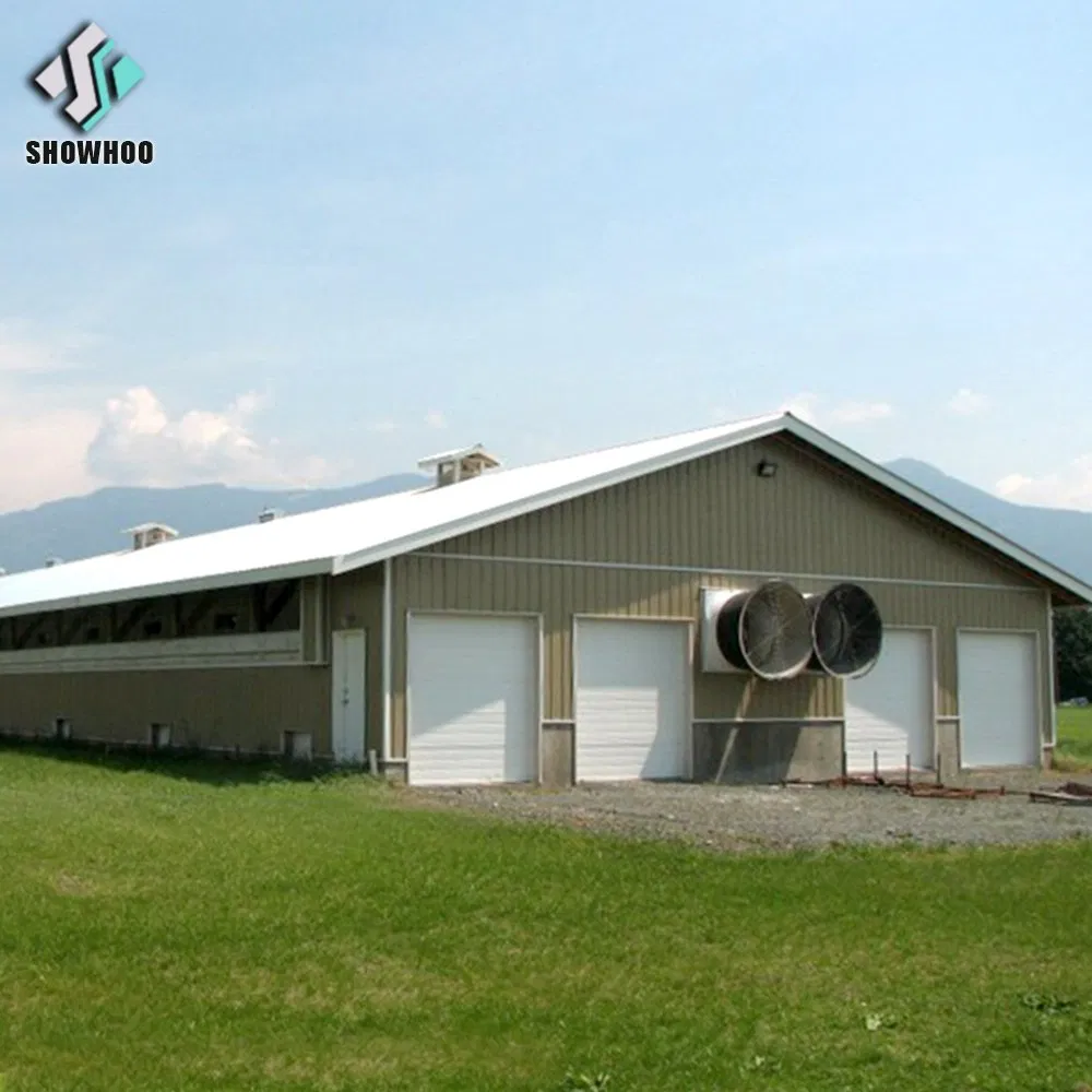 Chicken House Poultry Farming Broiler House Wall Seat Cheap Price Design Kenya