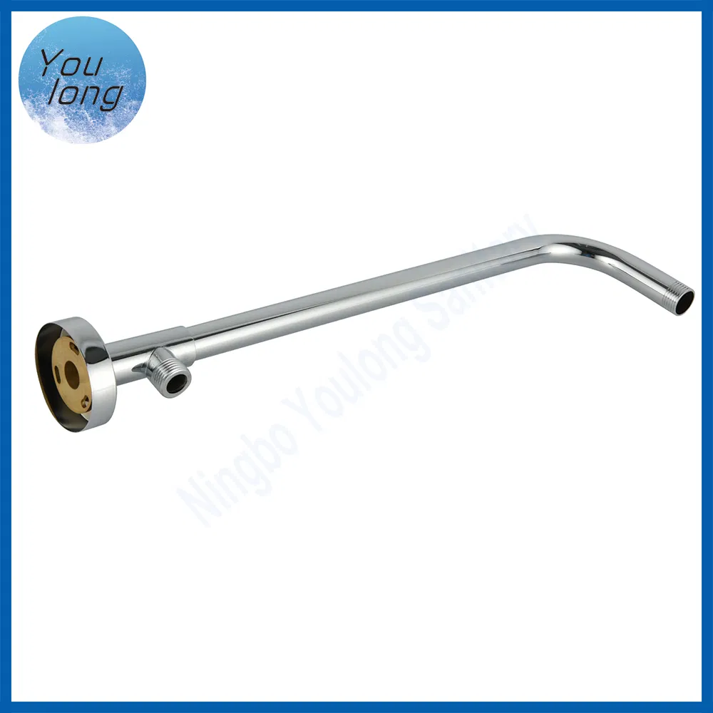 Stainless Steel Round Shower Arm with Brass Extension Tube