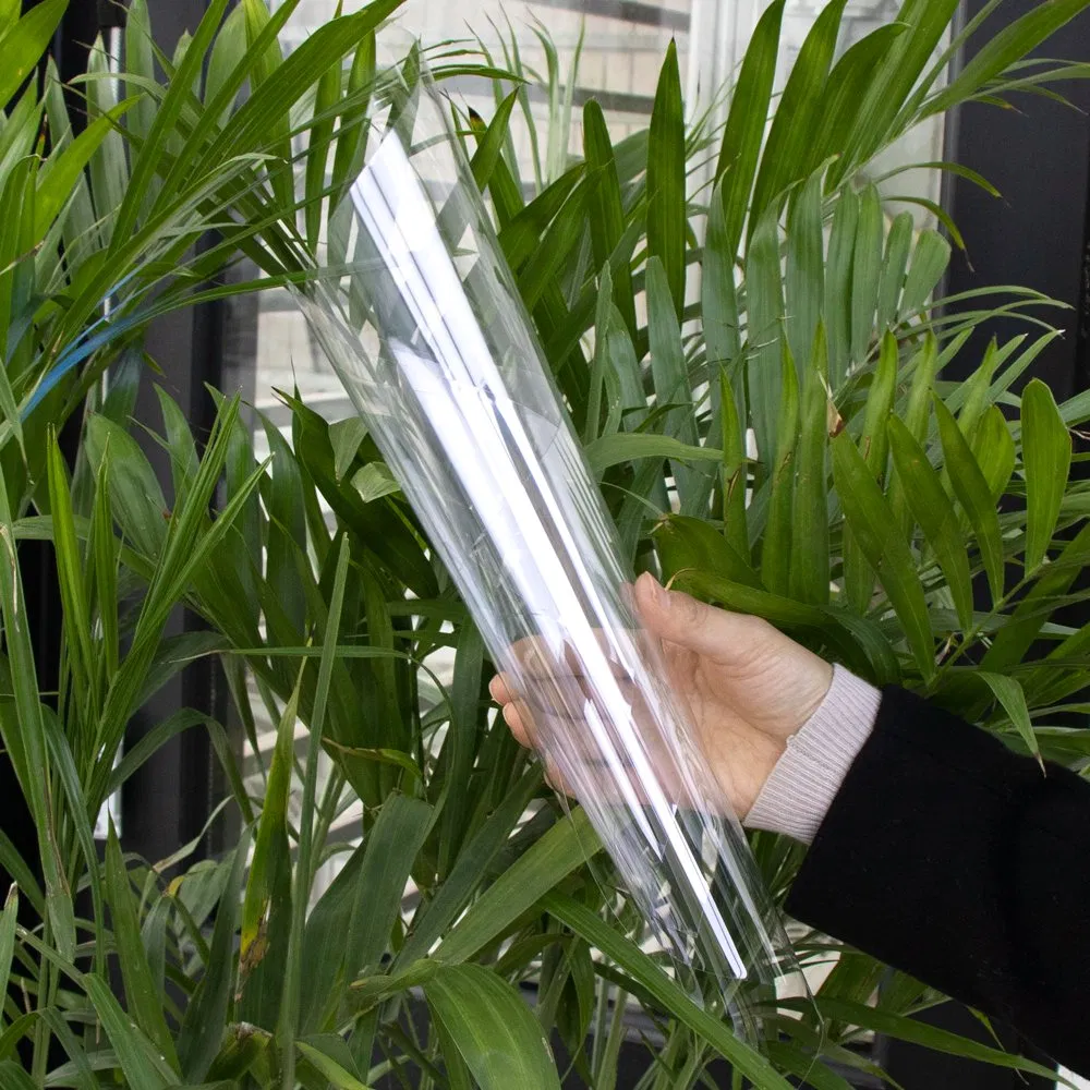 Antistatic ESD APET Sheet Pet Plastic Sheet Roll Film for Thermoforming
