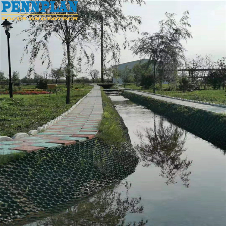 HDPE Plastic 38mm Grass Gravel Paver Driveway Grid