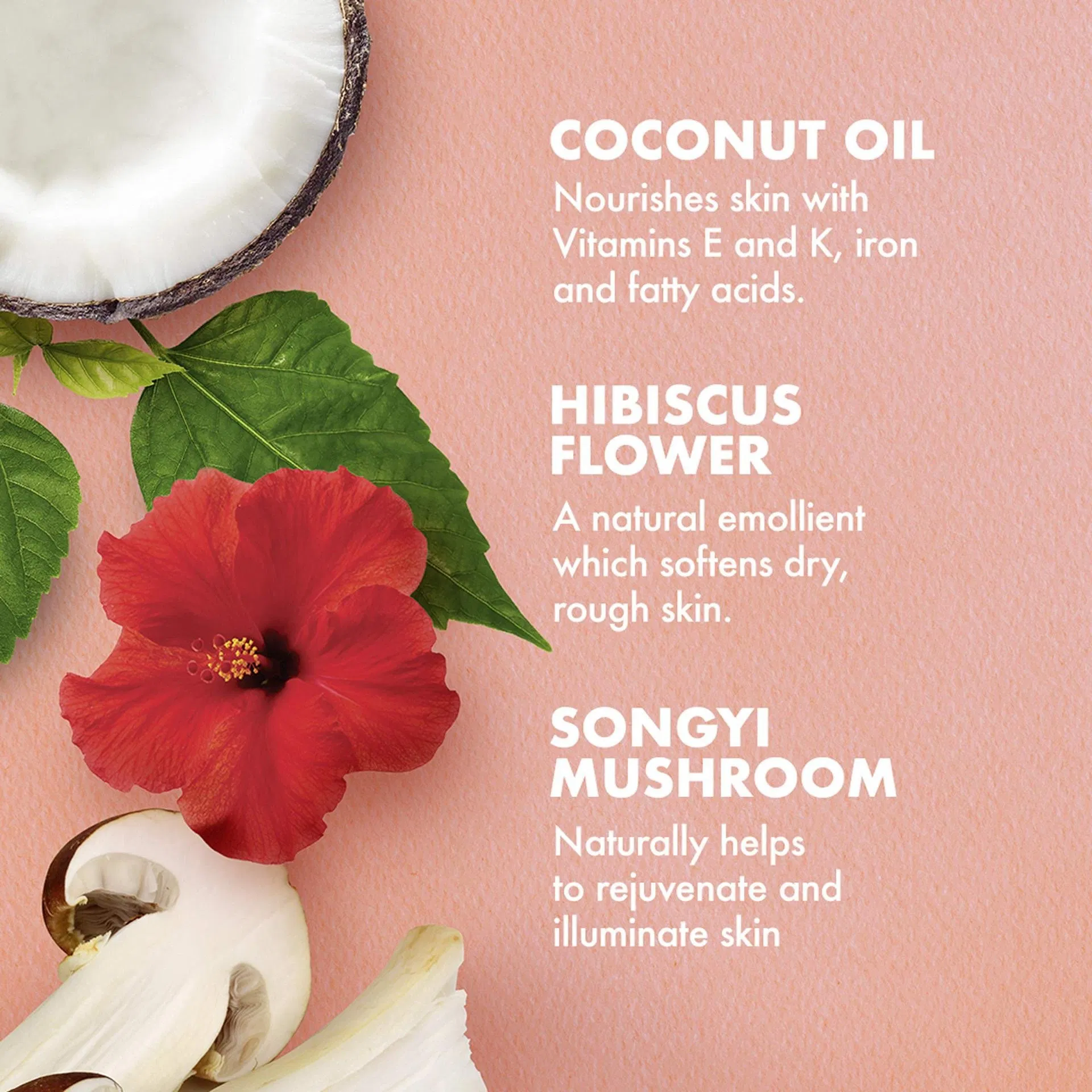 Private Label Coconut Hibiscus Curl Enhacing Smoothie Cream