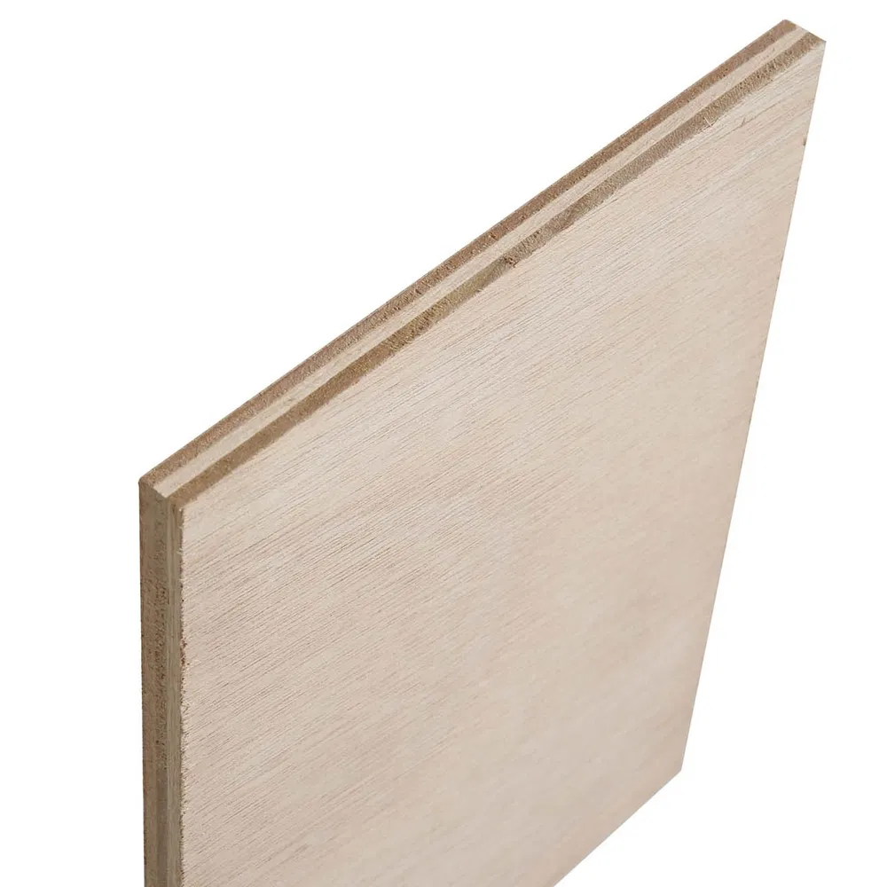 Durable Standard Film Faced Plywood for Commercial Use/ Plywood Biz Standard Film Faced Plywood