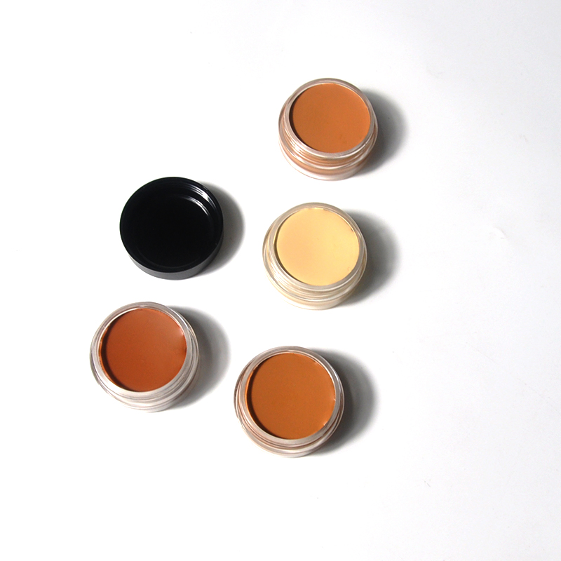 Waterproof Vegan Waterproof Full Coverage Custom Concealer Cream
