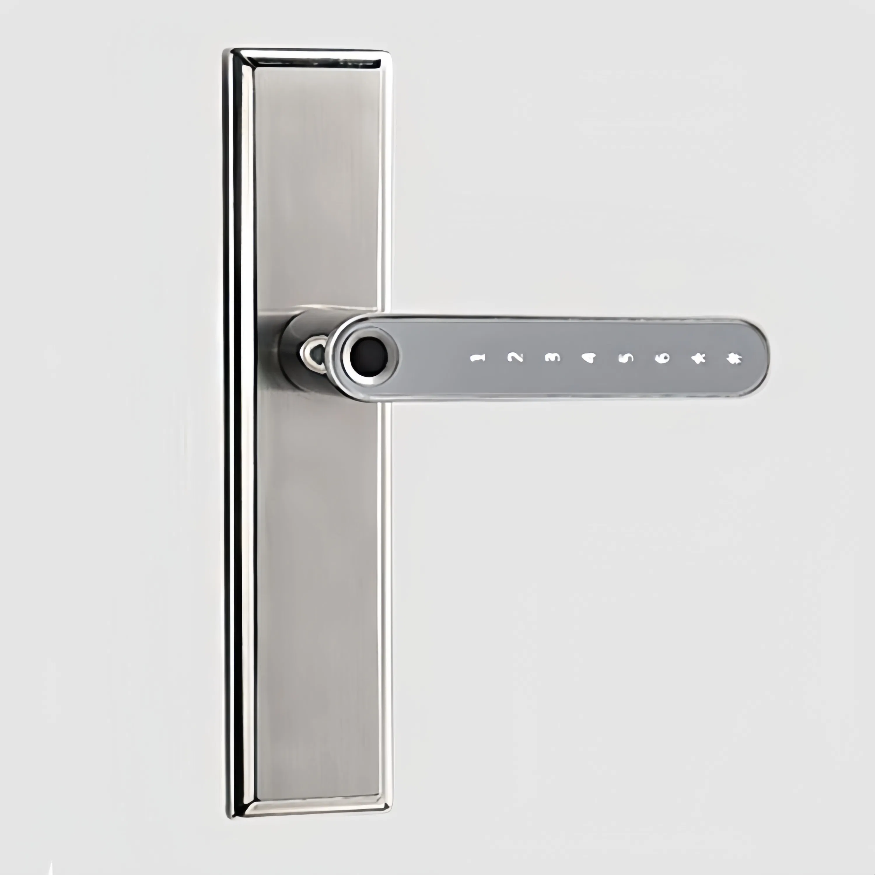 Biometrics Tt Lock APP Double Fingerprint Smart Door Lock