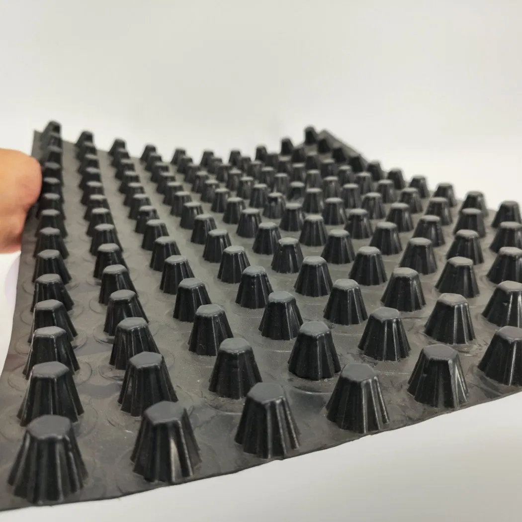 Eco-Friendly Construction Waterproof Dimple Membrane Drain Mat Plastic Sheet HDPE Drainage Board Cell with Cheap Price