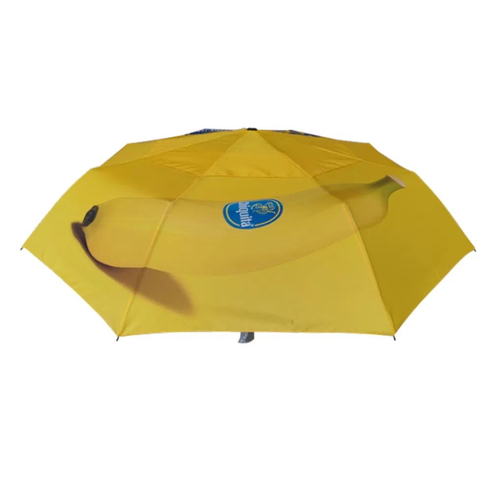Automatic Windproof Vent Double Layer Compact Umbrella (FU-3823BFA(D))
