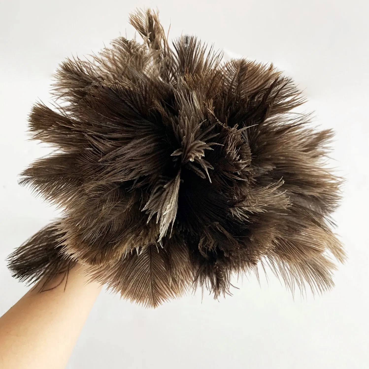 Factory Price Ostrich Feather Duster Head with Natural Finish Brown Bahandle Handle Duster for Home Office Cleaning