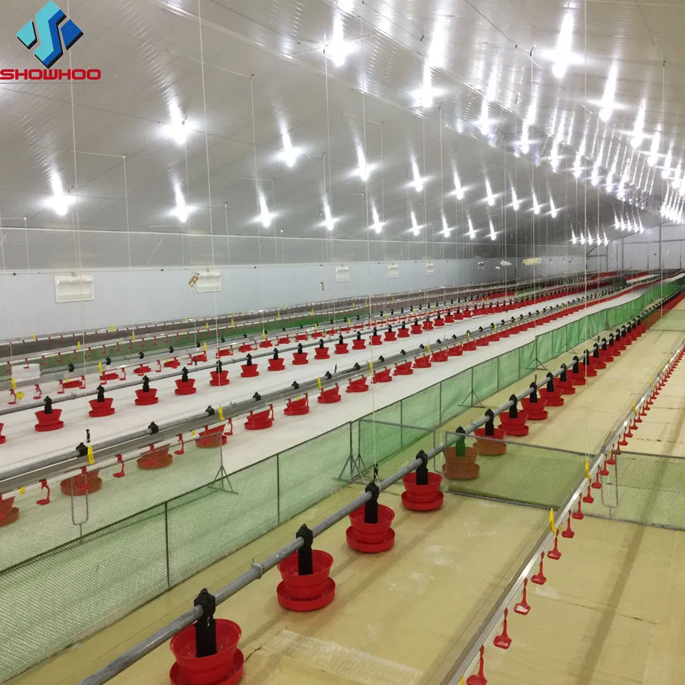 Professional Cheap Layer House Farm/Broiler Chicken House with Equipment Supplier in China Listed Company