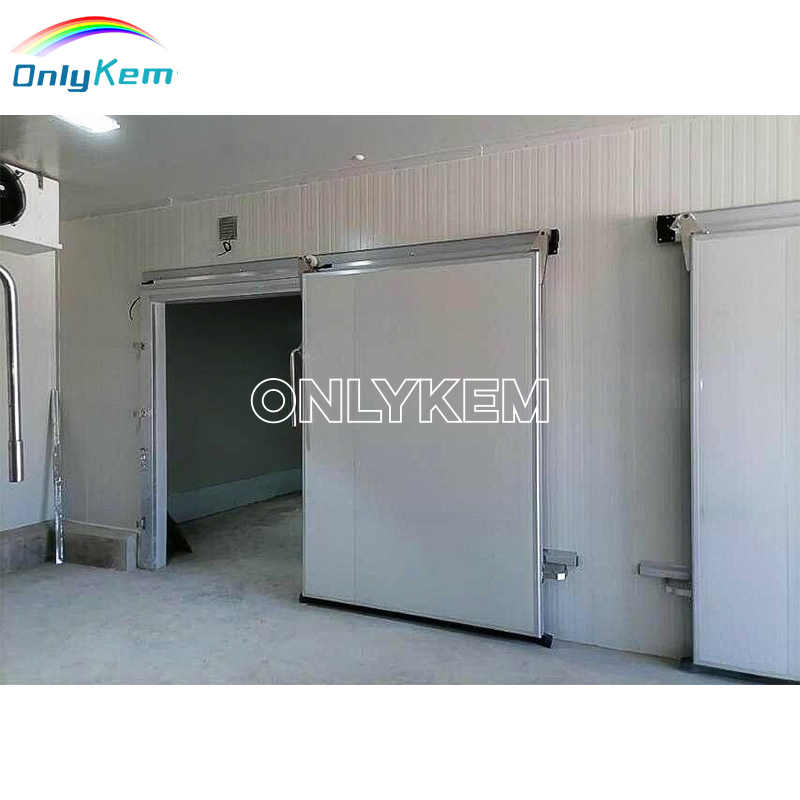 Walk in Freezer Cold Storage Room Standard Sliding Door Manufacturer