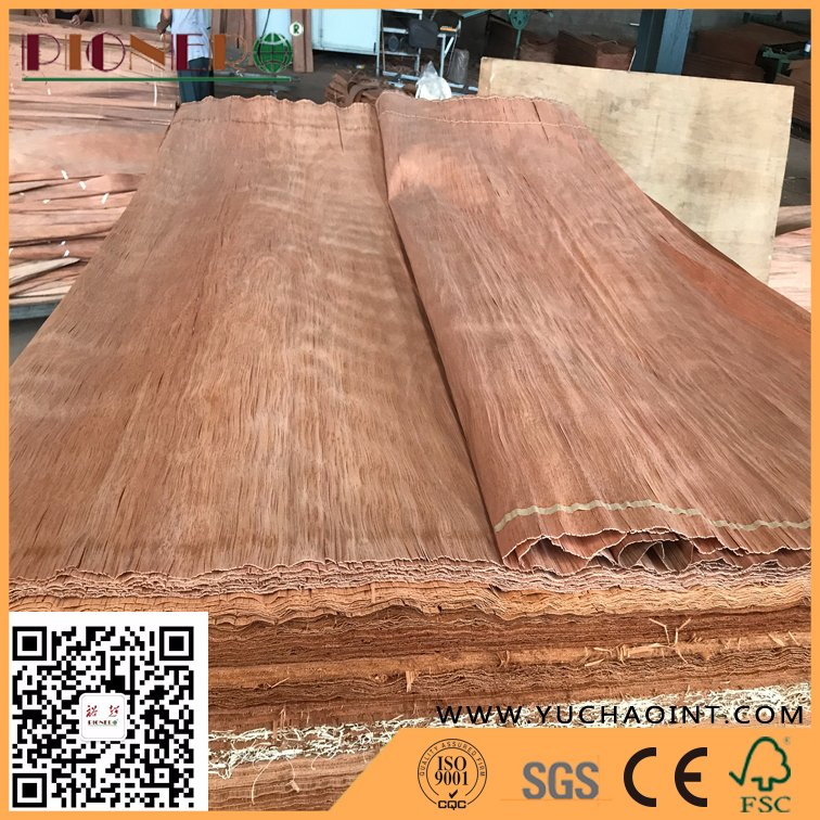 B Grade Natureal PA/Plb Veneer for India Market