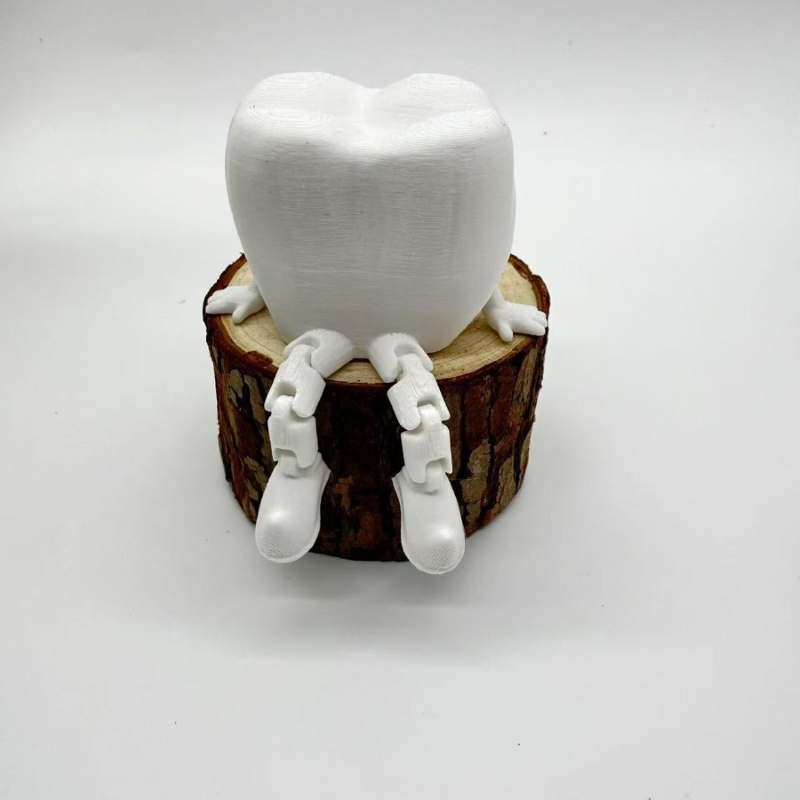 Dental Gift 3D Printed Articulated Tooth Sculpture Dental Ornament