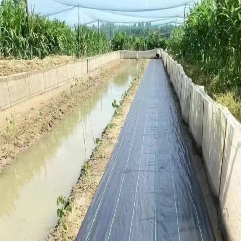 Customized Size Non Woven Agricultural Landscape Grass Proof Geotextile
