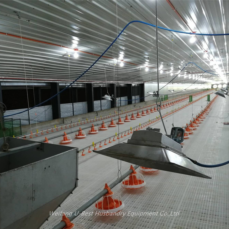 Chicken Automatic Feeding System Poultry Feed Line System Poultry Farm Equipment