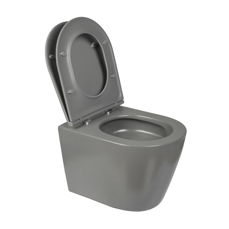 Rimless Wall Hung Toilet Bowl Ceramic Toilet Wash Down Flush Multi Color