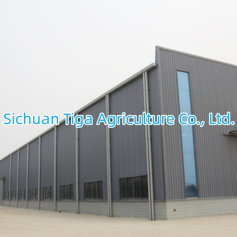 Customized Steel Structure Constructions for Factories, Warehouses, Cold Storages and Green House