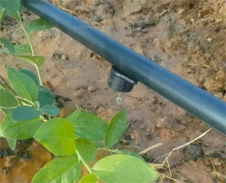 Barb Connector PE Pipe Fittings Irrigation Tube Fast Connector for Agriculture Irrigation