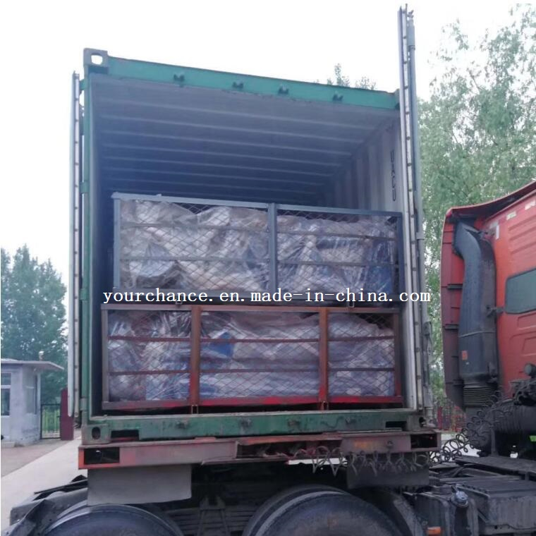 High Quality Rhr-2500 2.5m Width Rotary Hay Rake with Tedder for Sale