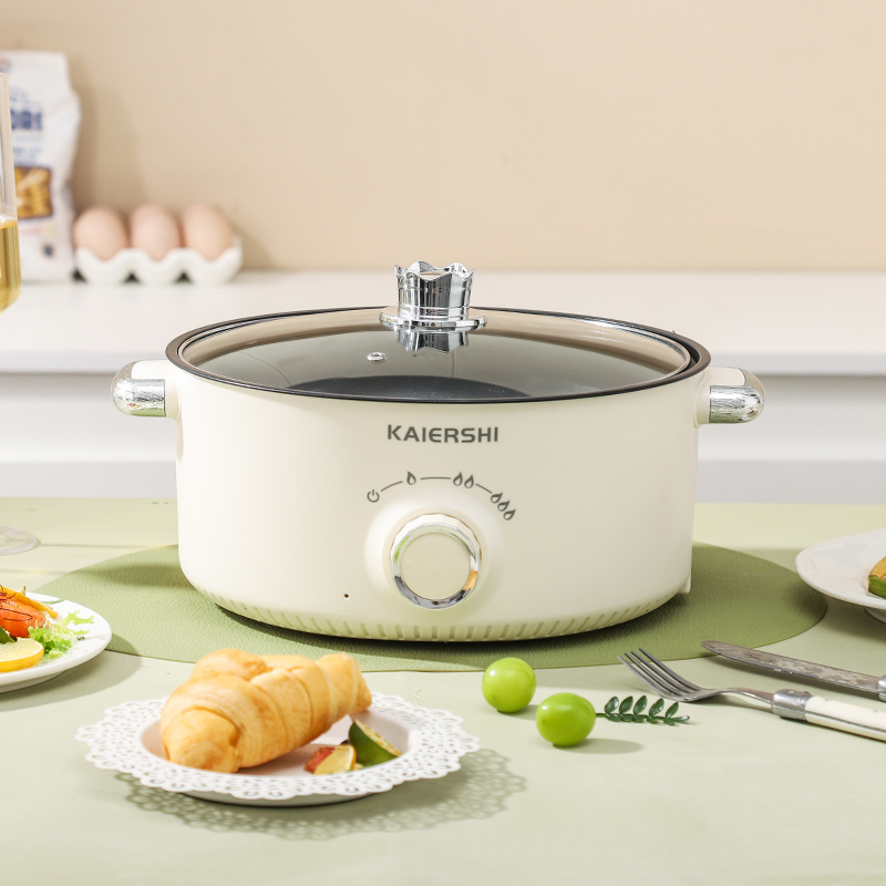 Kaiershi Jj-22b Best 5 in 1 Multi Purpose Steam Cooker