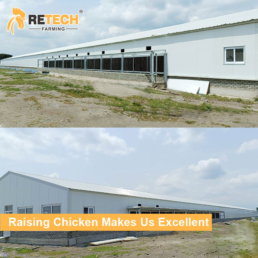 High Quality Chicken Coop House Farming Chicken Farming Chicken Cage