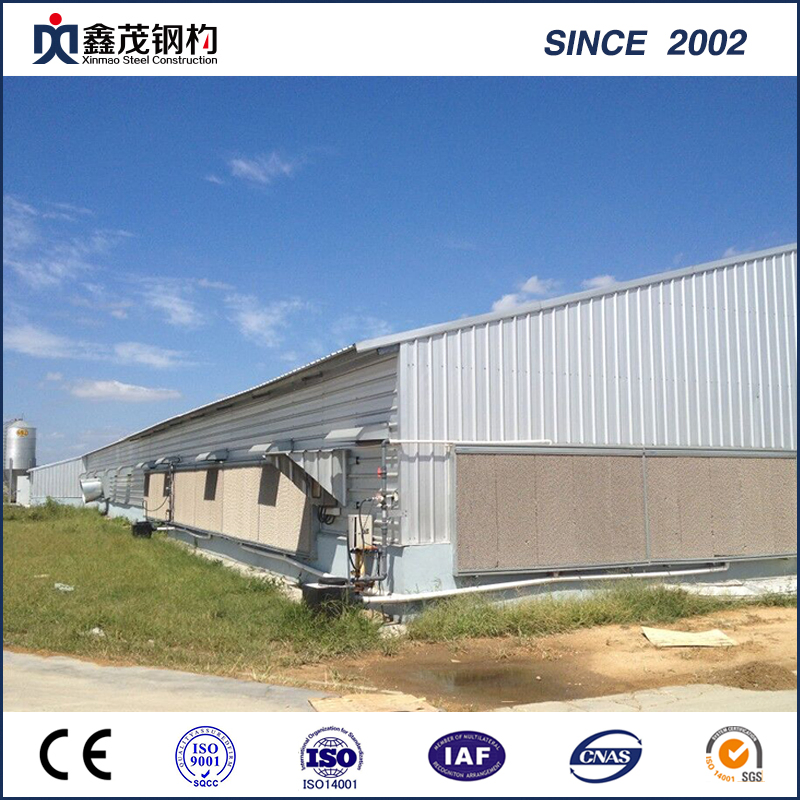 Light Steel Structure Agriculture House for Feed Mill / Livestock Farm /Coldroom