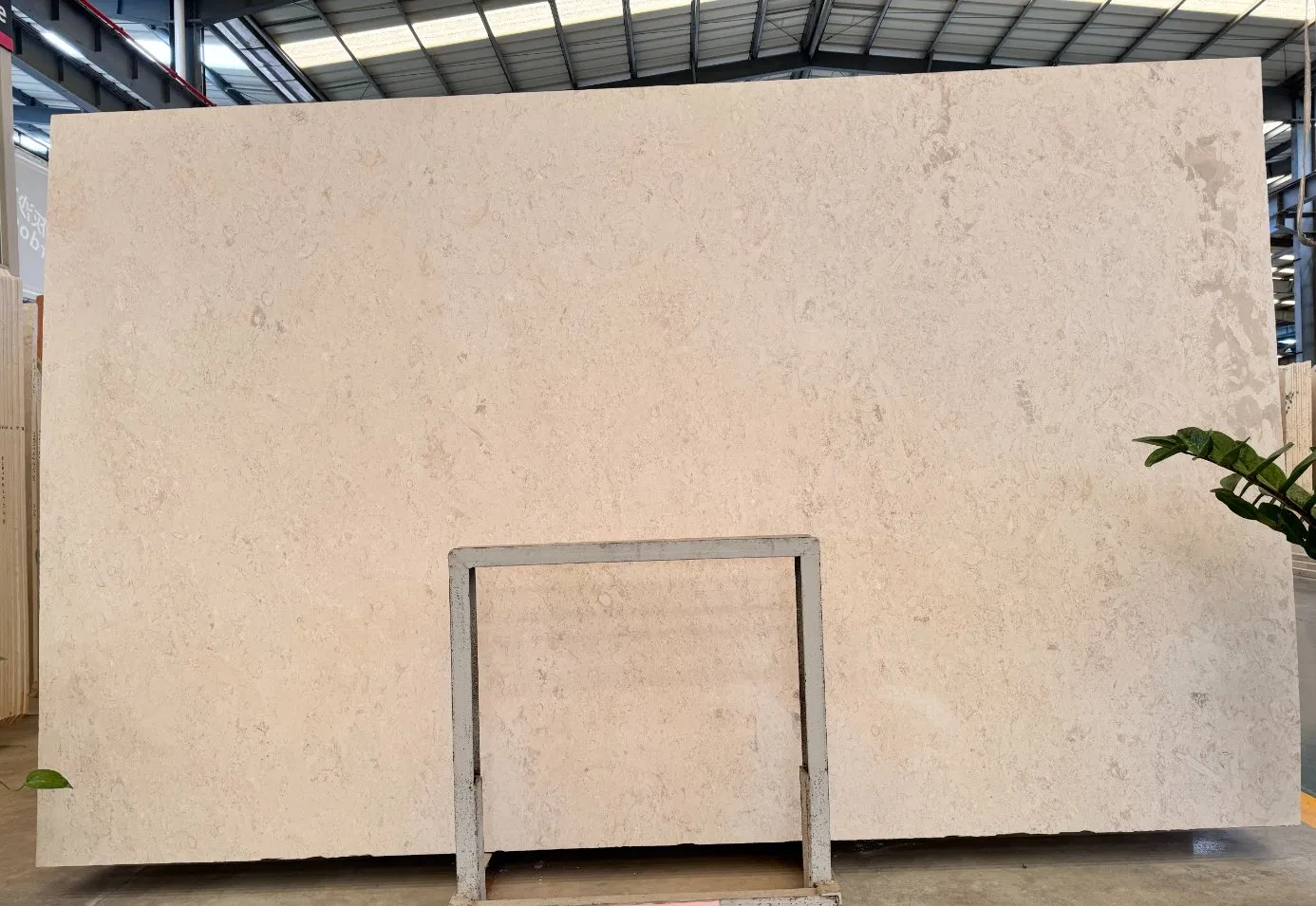 Beige Limestone Marble Stone Aloewood Limestone Paving Slab for Sale